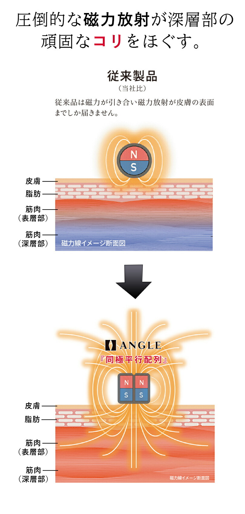 ANGLE e.MODEL 02  　イメージ