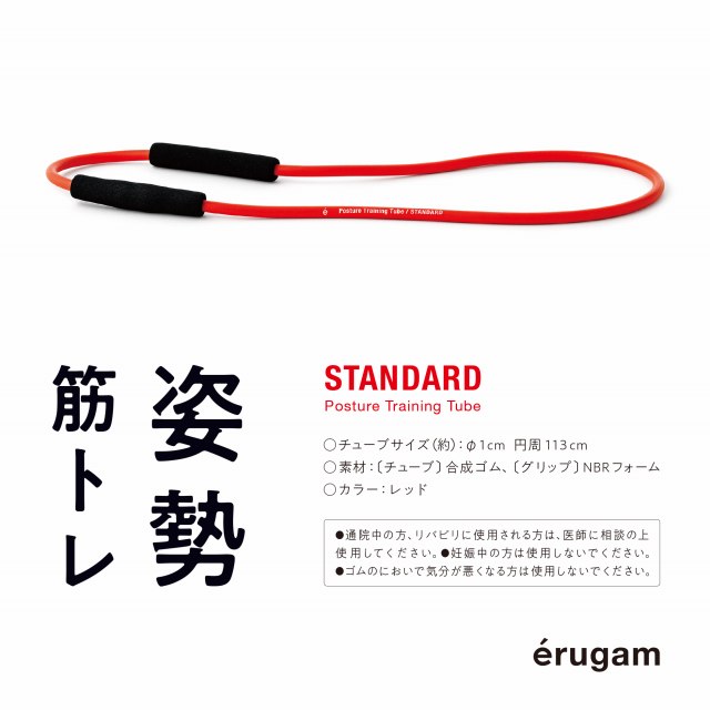 erugam 姿勢筋トレ スタンダード 　イメージ